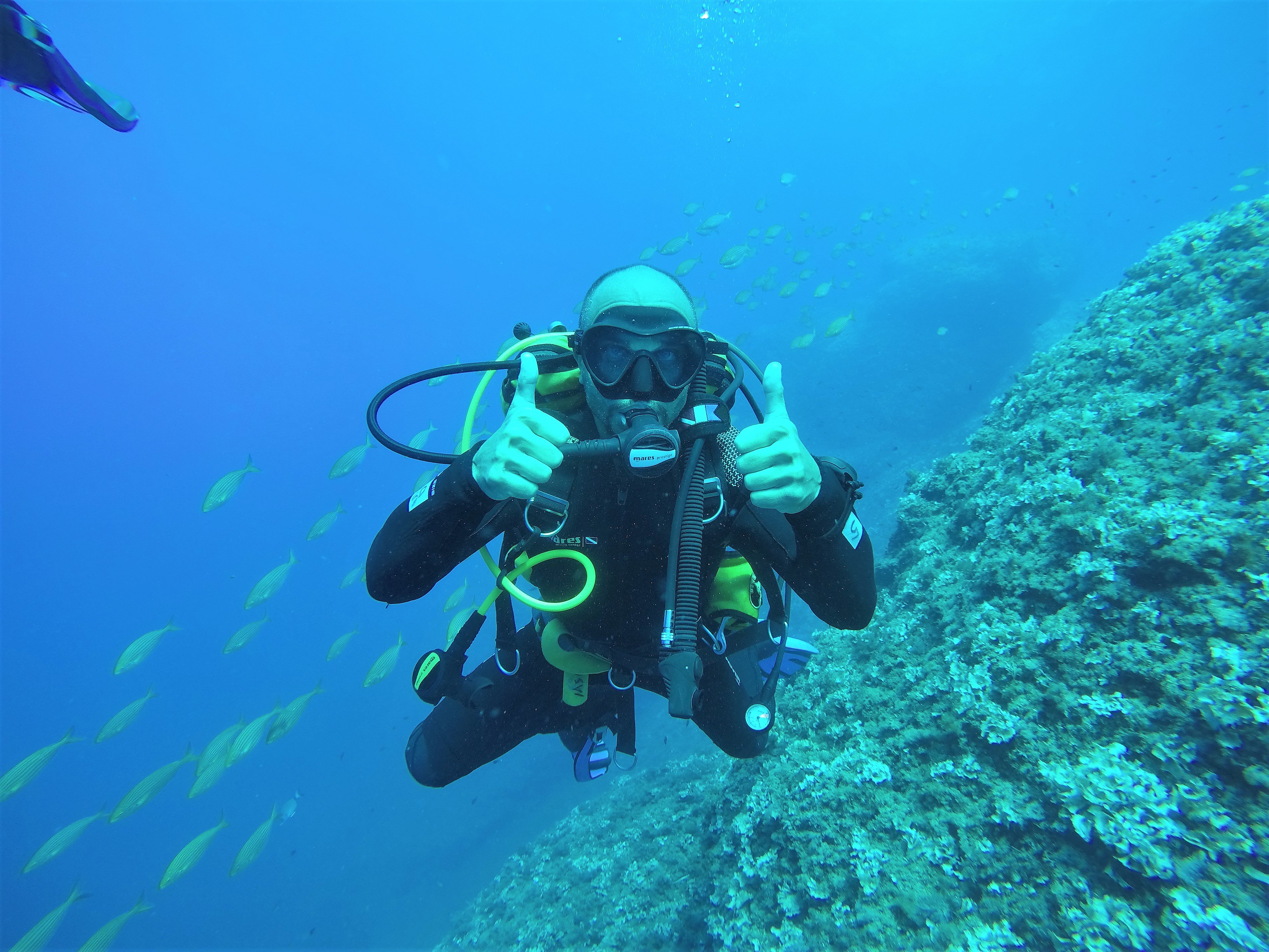 2023年 Style Diving - 行く前に！見どころをチェック - トリップアドバイザー