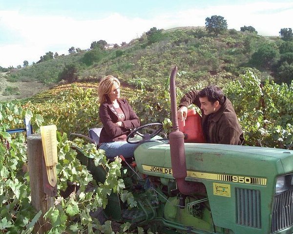 Tripadvisor Private Sidecar Winery Tour Door San Luis Obispo Aangeboden Door Private Sidecar 8996