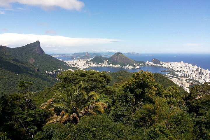 Macaco Sagui, Pão de Açúcar, Rio de Janeiro - Brazil