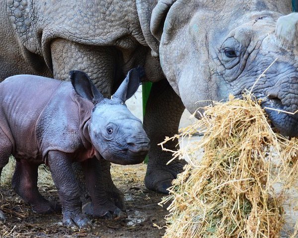 TERRA NATURA MURCIA - All You Need to Know BEFORE You Go