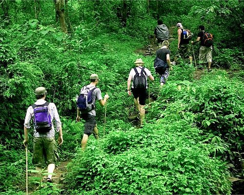 Dong Nai, Vietnam - An adventure in the tropical jungle