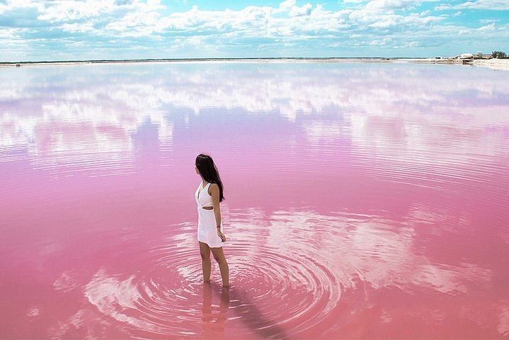 Merida to Las Coloradas Pink Lakes: How to Visit in 2024