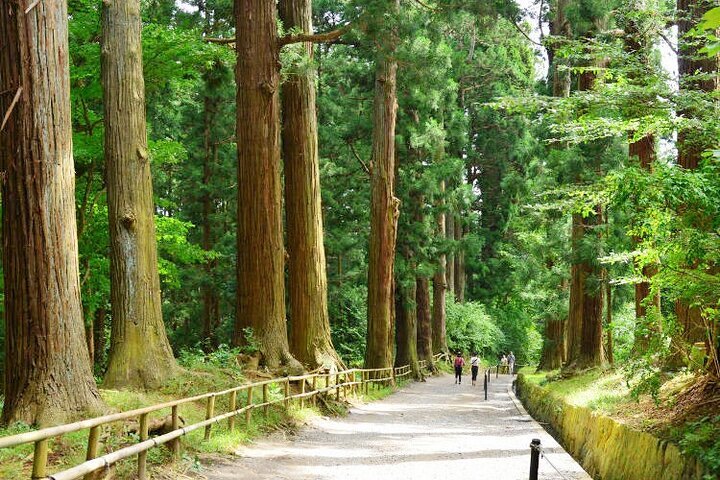 Ichinoseki Museum (2025) - All You Need to Know BEFORE You