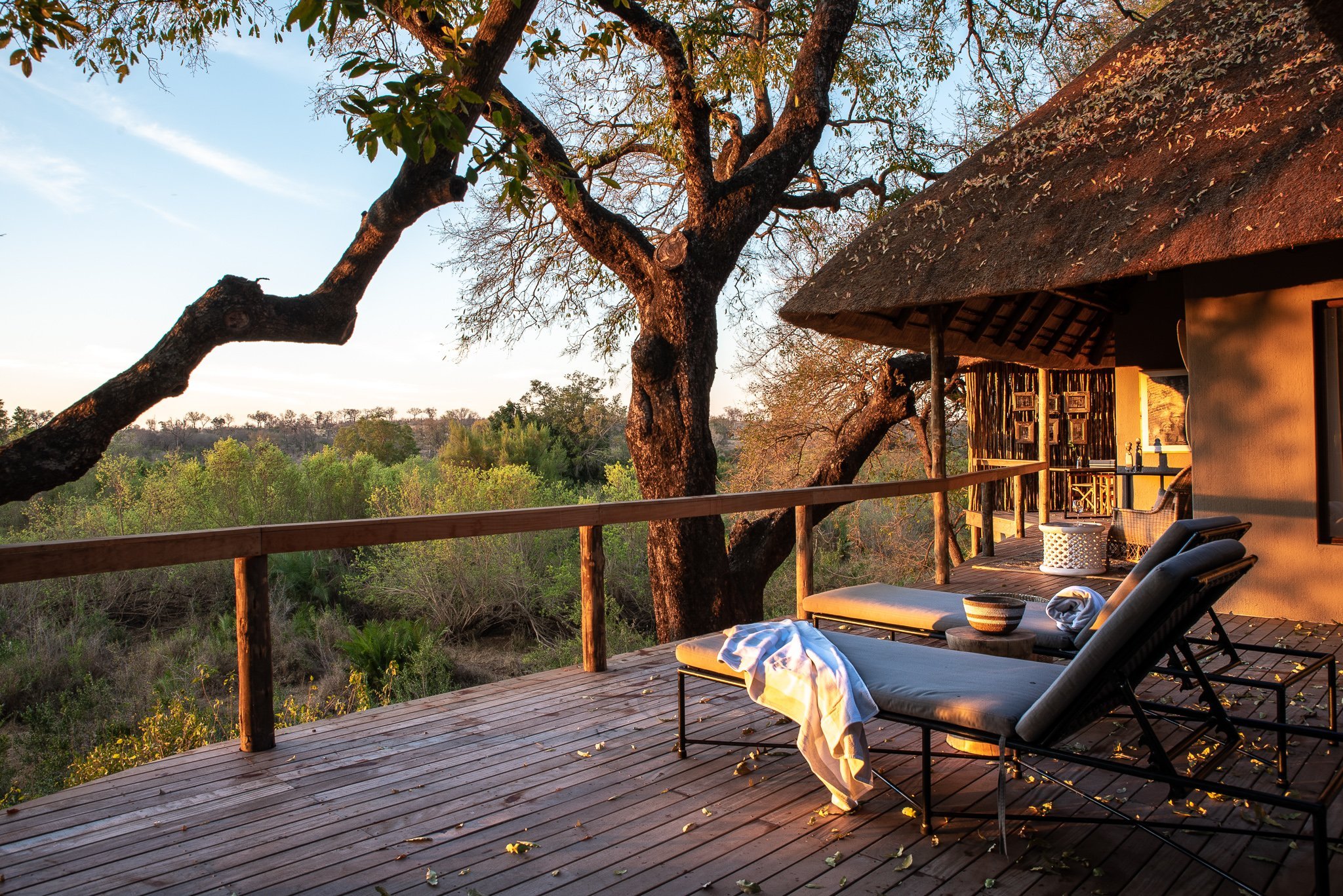 Londolozi Game Reserve by null