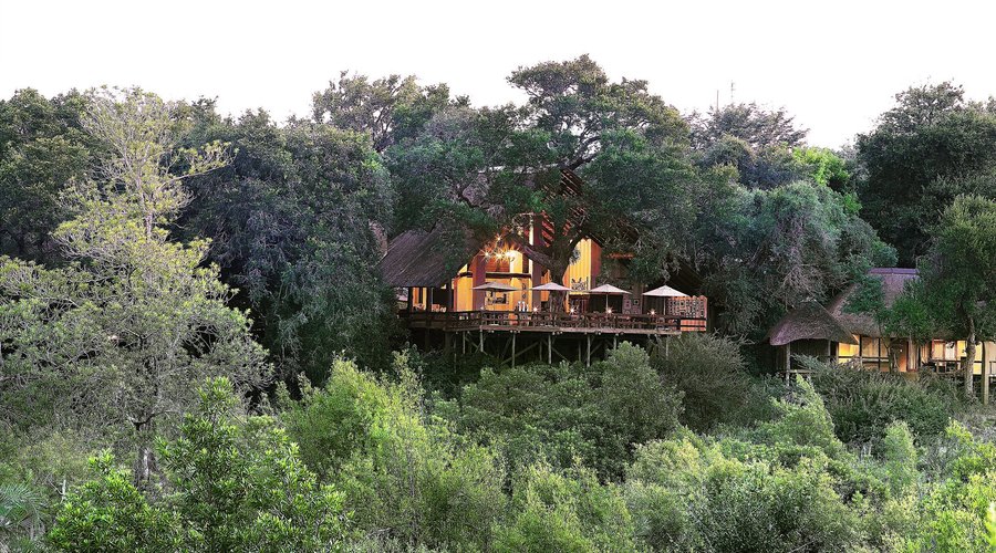 Varty Camp