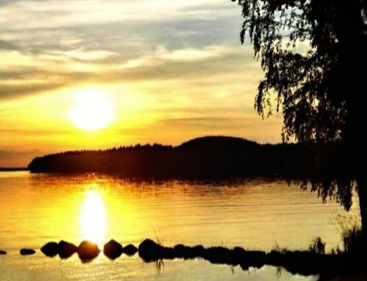 Lake Päijänne Cruises (Jyväskylä, Phần Lan) - Đánh giá - Tripadvisor