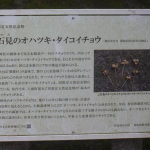 21年 鳥取県で絶対外さないおすすめ観光スポットトップ10 定番から穴場まで トリップアドバイザー