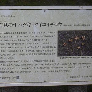 21年 鳥取県で絶対外さないおすすめ観光スポットトップ10 定番から穴場まで トリップアドバイザー 21年 鳥取県で絶対外さないおすすめ観光スポットトップ10 定番から穴場まで トリップアドバイザー