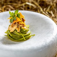 Tagliolini al Basilico con ragù di faraona, fiori di zucca e arancio salato