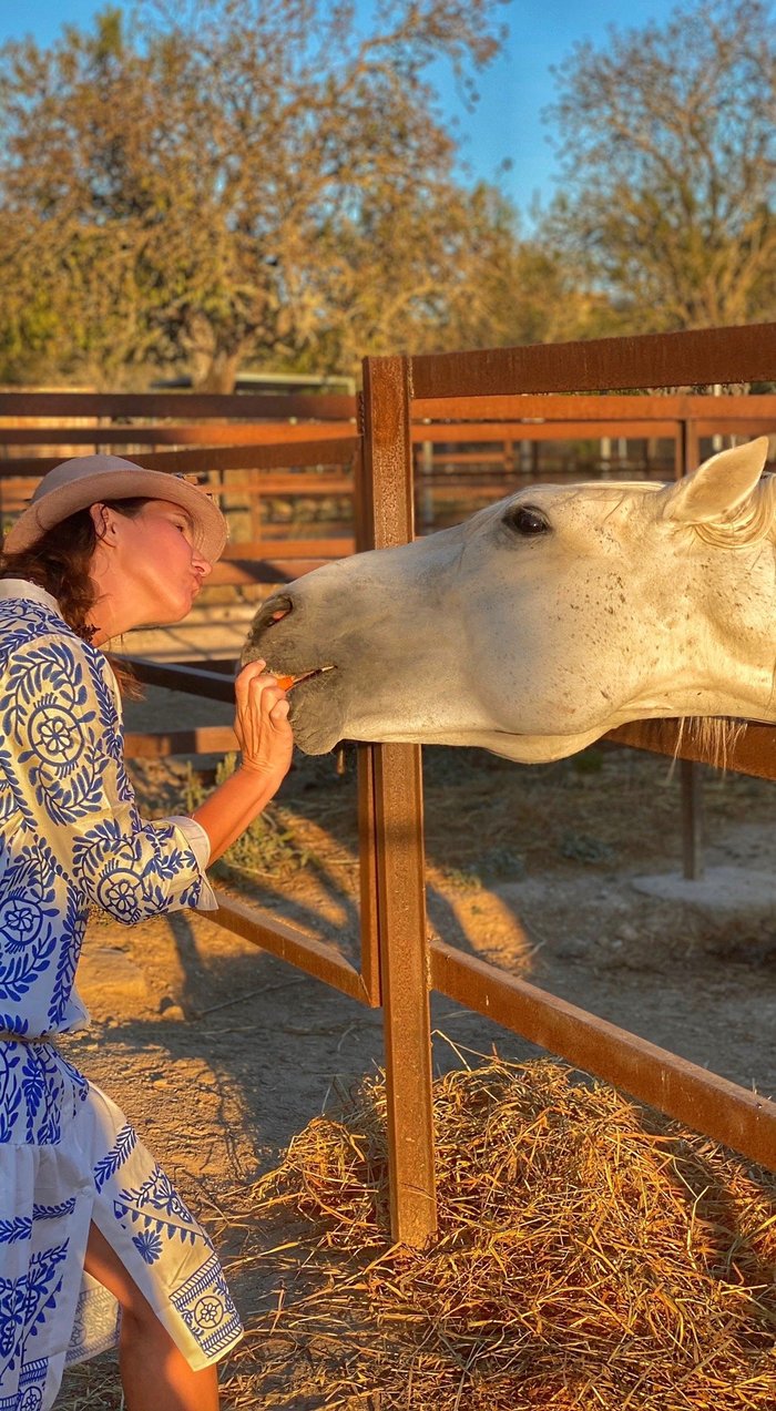 Imagen 11 de Finca Caballo Blanco Son Bages