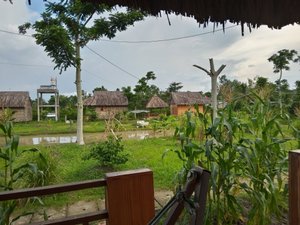Cảnh nhìn từ phòng