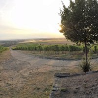 Blick von der Weinlage Greuther Bastel ins fränkische Weinland