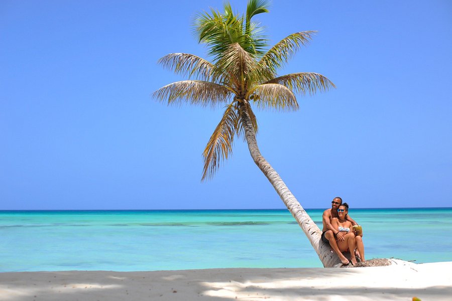 dominican republic saona island excursion