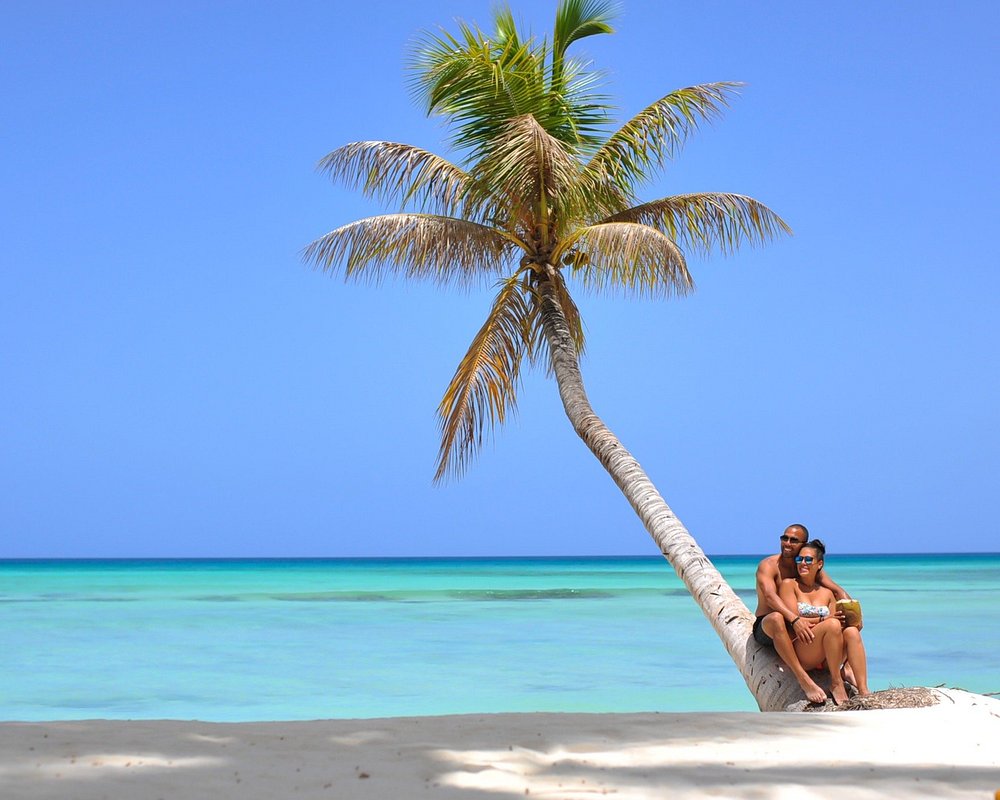 Die Top 10 Sehenswürdigkeiten In Dominikanische Republik 2023 Mit Fotos Tripadvisor