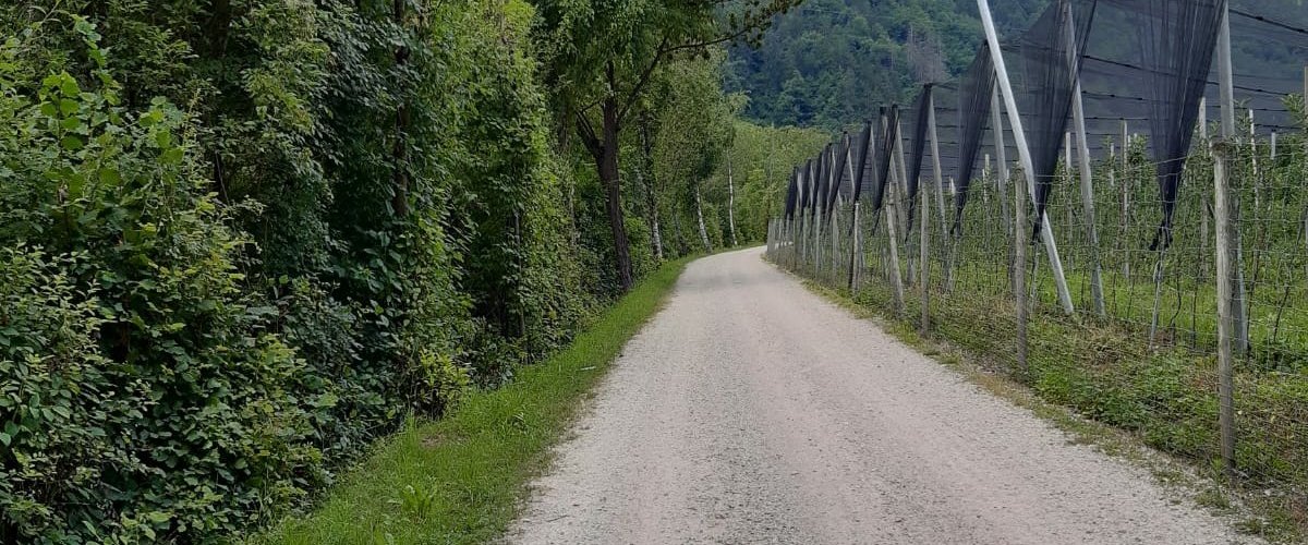 passeggiata lungo il Passirio