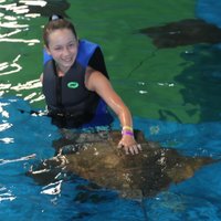 The Institute for Marine Mammal Studies (Gulfport) - All You Need to ...