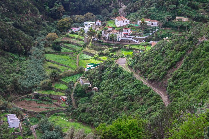 THE 10 BEST Day Trips from Santa Cruz de Tenerife 2024