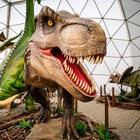 Najobľúbenejší, ale aj najnebezpečnejší T-rex!