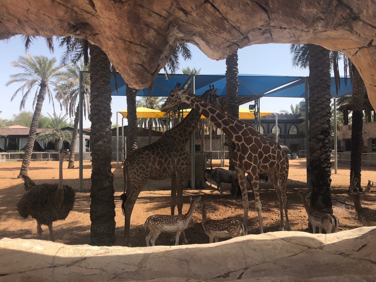 EMIRATES PARK ZOO & RESORT - Updated 2024 Prices & Hotel Reviews (Abu ...