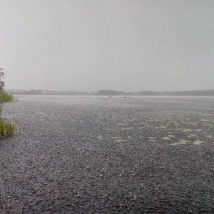 brämhult kvinna söker man veinge på dejt
