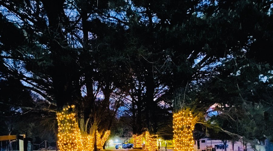 Lights at Night