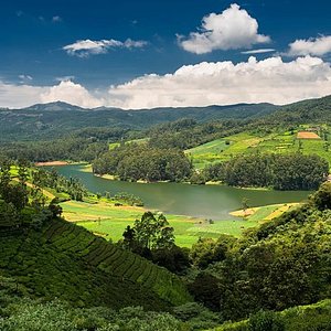 coonoor places to visit timing