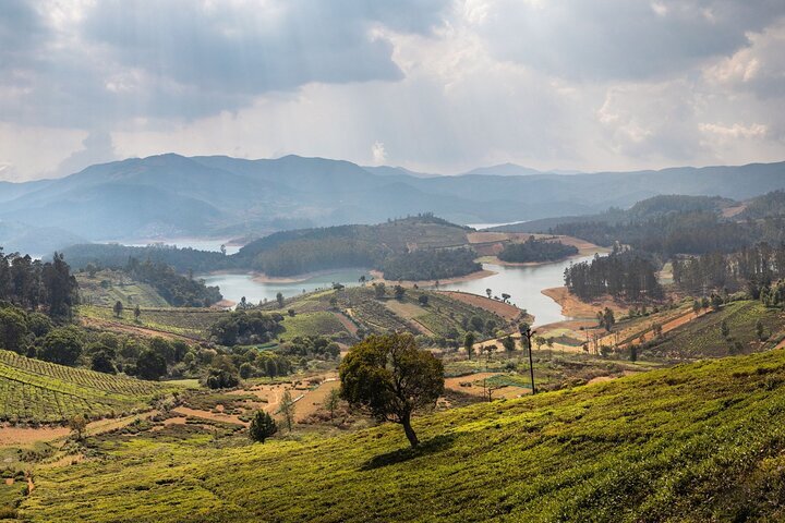 THE 15 BEST Things to Do in Ooty Udhagamandalam Updated 2024