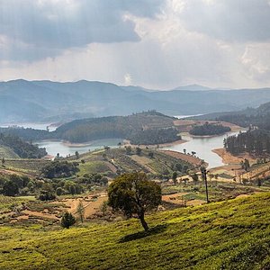 ooty india tourism