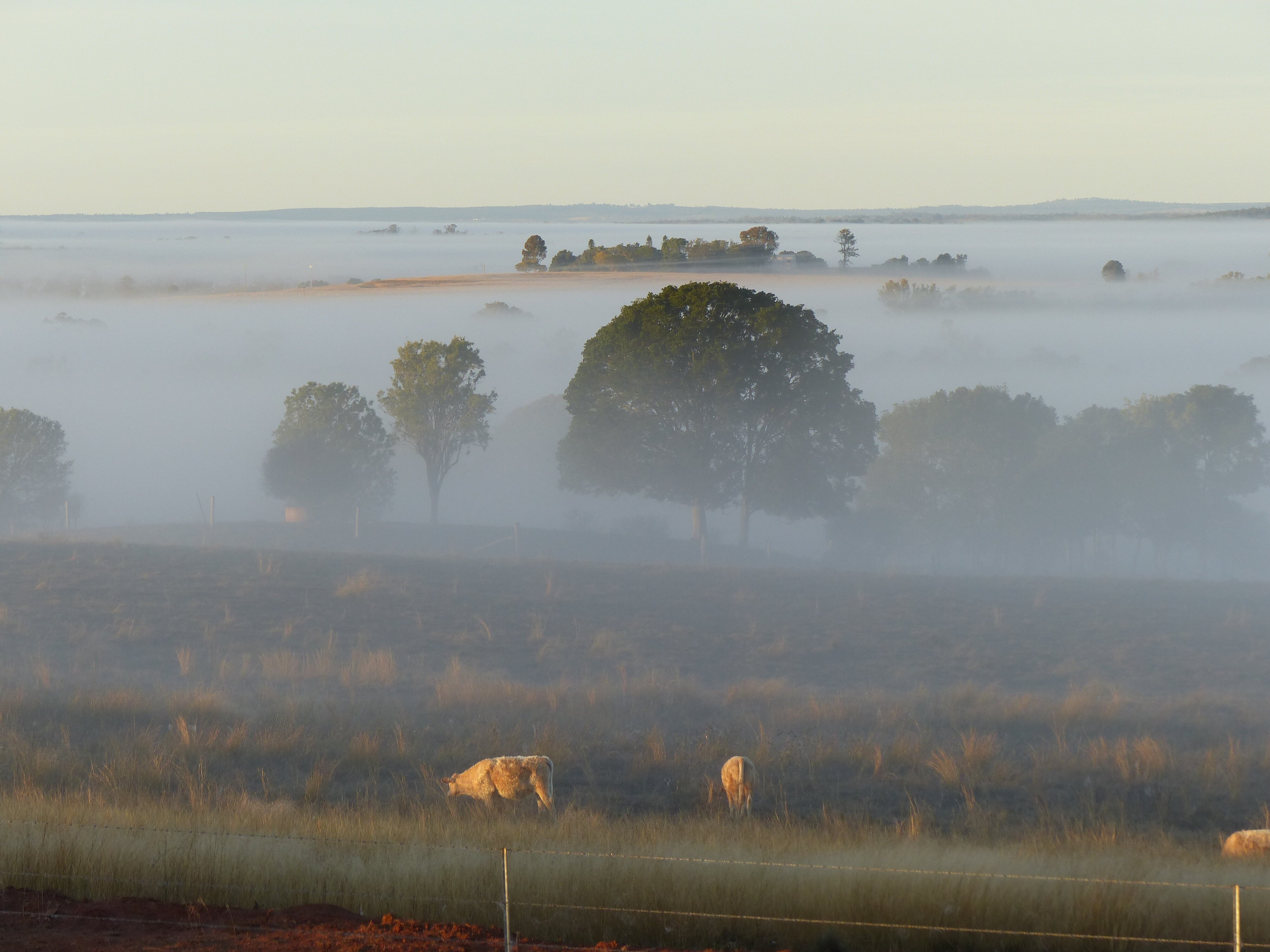 MULANAH GARDENS: 2023 Reviews (Kingaroy) - Photos Of B&B - Tripadvisor