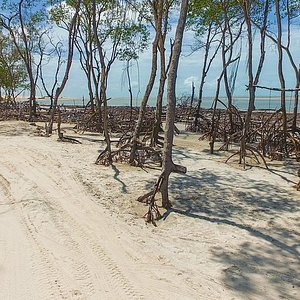 Prea Beach Jericoacoara 21 All You Need To Know Before You Go With Photos Tripadvisor