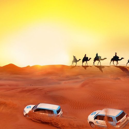 أفضل أماكن الجذب السياحي في دبي لقضاء عطلة لا تُنسى - رحلات الصحراء والسفاري
