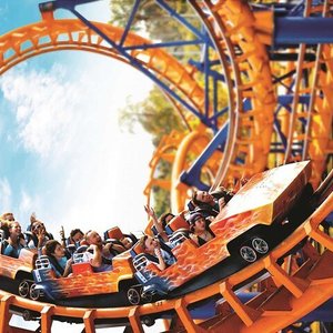 Gostei de quase tudo - Avaliações de viajantes - Beto Carrero World -  Tripadvisor