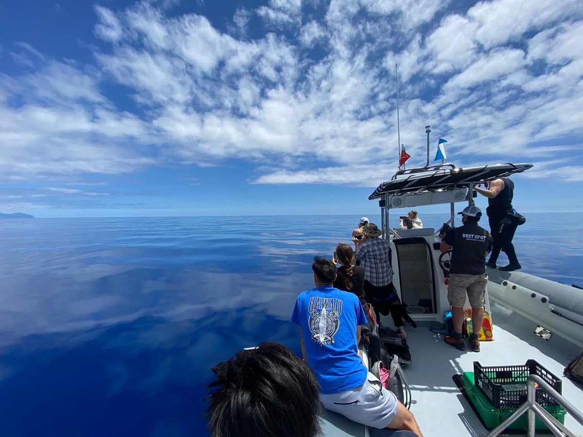 Best Spot Azores Dive Center, Понта-Дельгада: лучшие советы перед  посещением - Tripadvisor