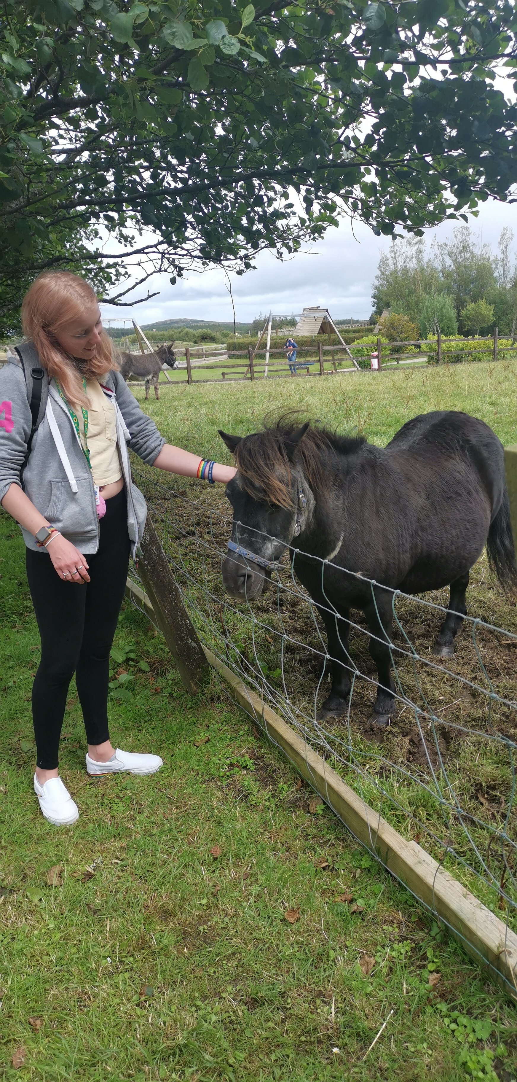 Loughwell Farm Park (Moycullen) - All You Need To Know BEFORE You Go