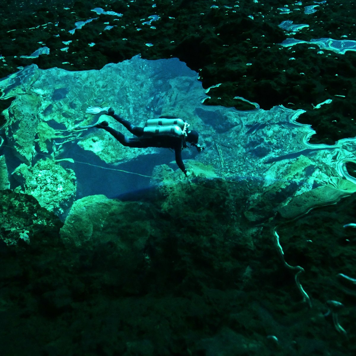 cave swimming playa del carmen