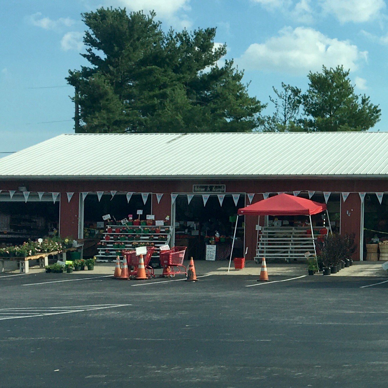 Roadside Farm, New fashion Jersey