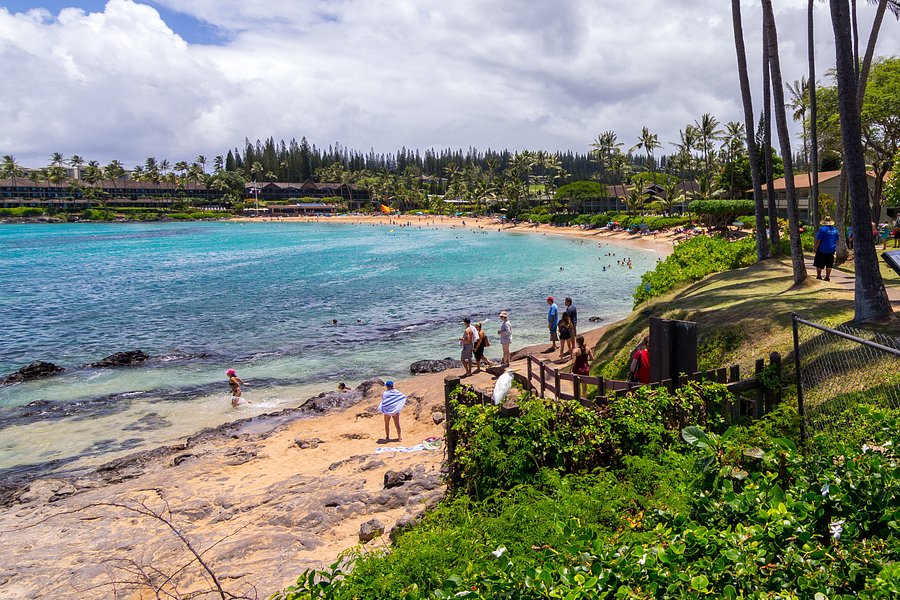 Napili Shores Maui By Outrigger Updated 2021 Prices And Hotel Reviews