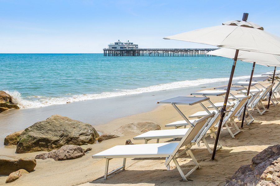 MALIBU BEACH INN - Updated 2020 Prices, Hotel Reviews, and Photos (CA