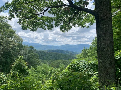Great Smoky Mountains National Park review images