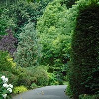 Landscaping near south boundary.