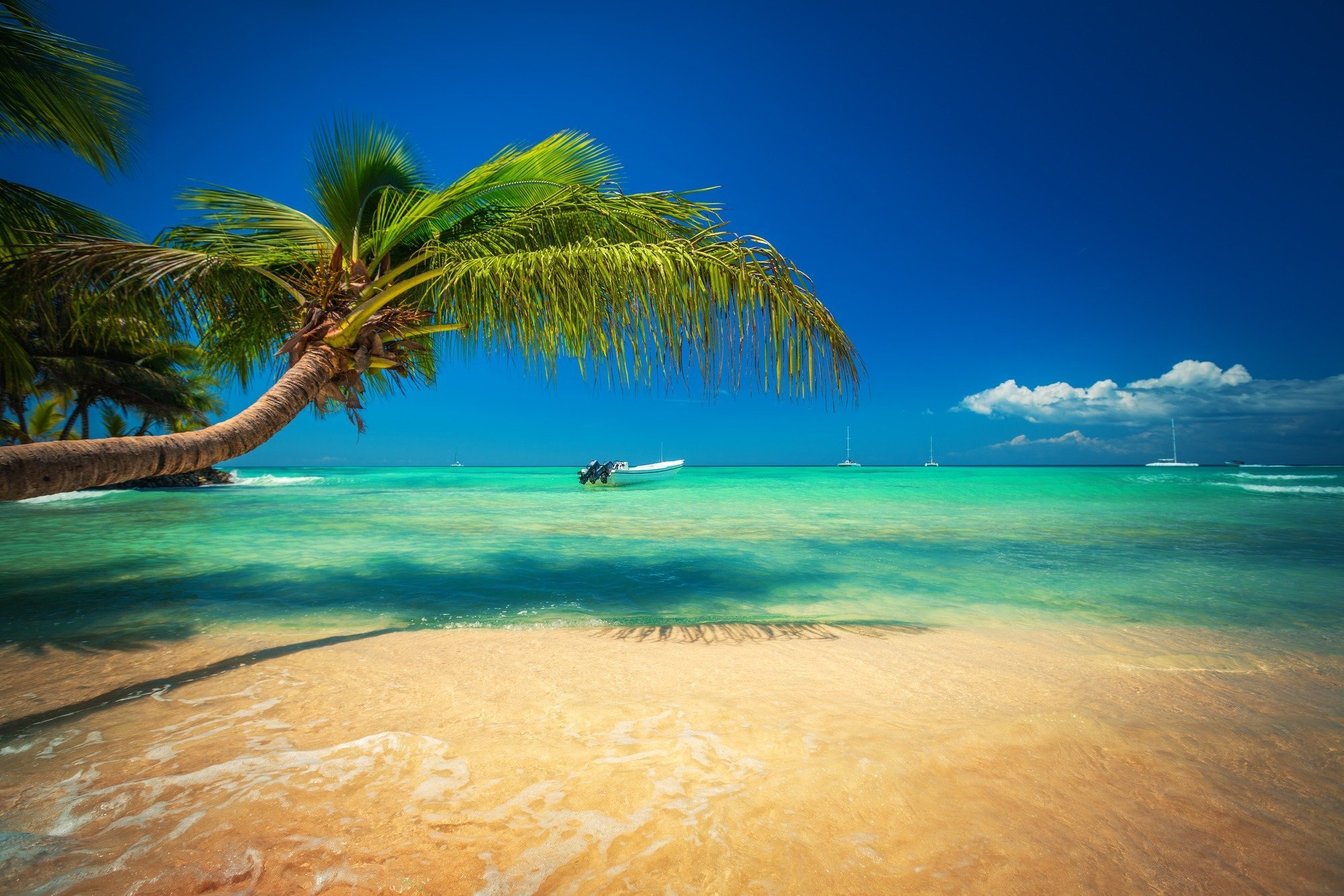 wonder-punta-cana-2024-all-you-need-to-know-before-you-go-with