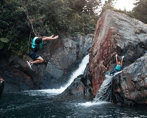 el yunque tours tripadvisor