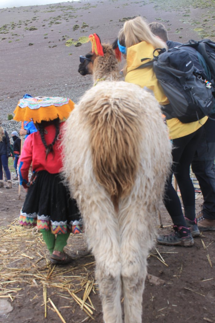 Imagen 19 de Supertramp Hostel Cusco