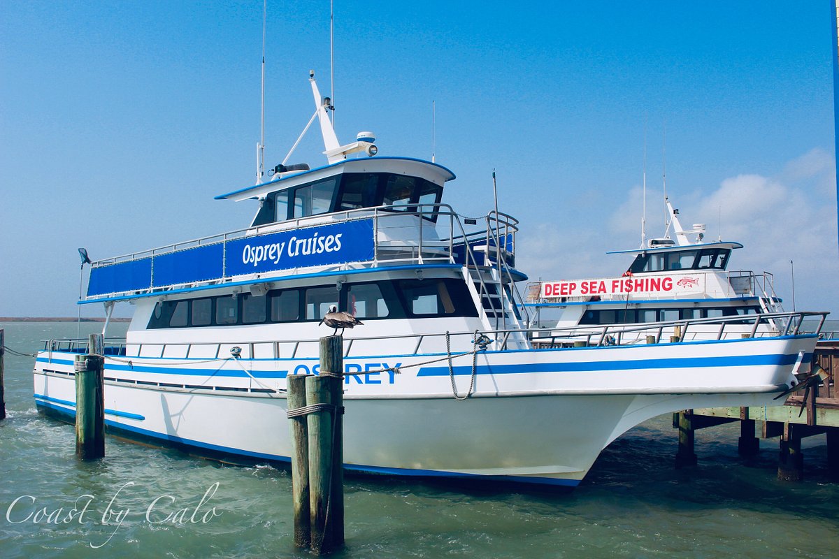 Osprey Cruises (Port Isabel) - 2023 Lo que se debe saber antes de viajar -  Tripadvisor