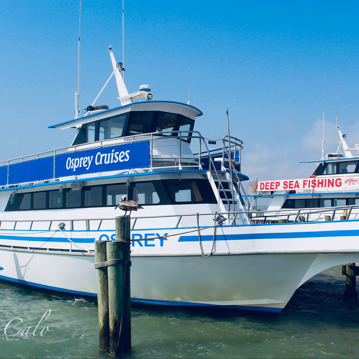 Osprey Cruises (Port Isabel) - All You Need to Know BEFORE You Go