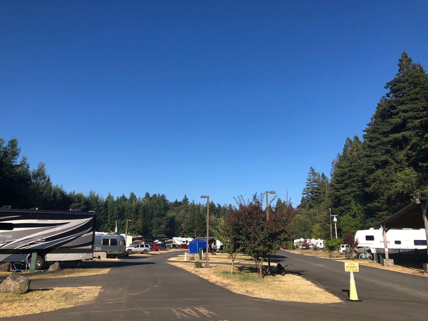 ANCIENT REDWOODS RV PARK - Updated 2024 Campground Reviews (Redcrest, CA)