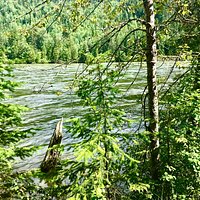 The North Thompson river was at high water level