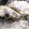 CrozonBeachGuide