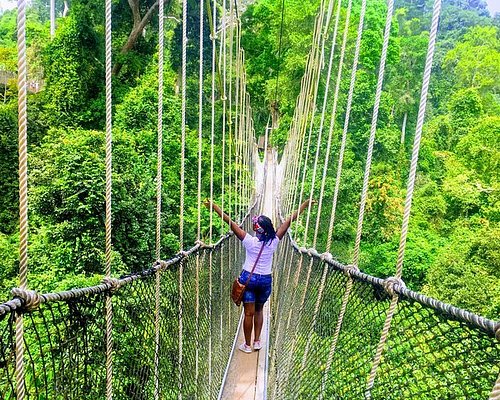 THE 10 BEST Ghana Tours & Excursions for 2022 (with Prices)