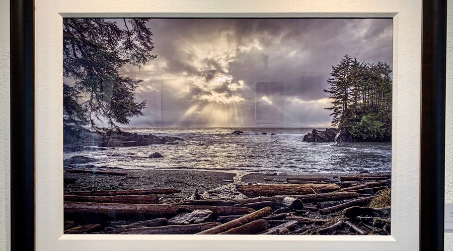"Botany Bay Rays," framed in seamless linen and dark Italian wood. 
